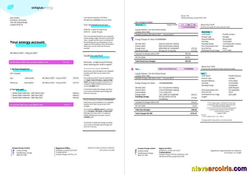 United Kingdom Octopus Energy utility bill 3 pages 1 2